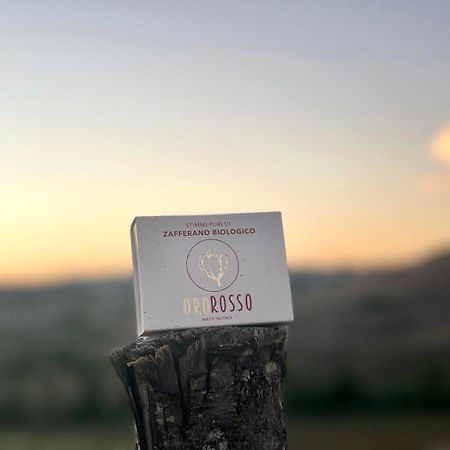 Agriturismo La Terrazza Sul Mangia Siena Dış mekan fotoğraf