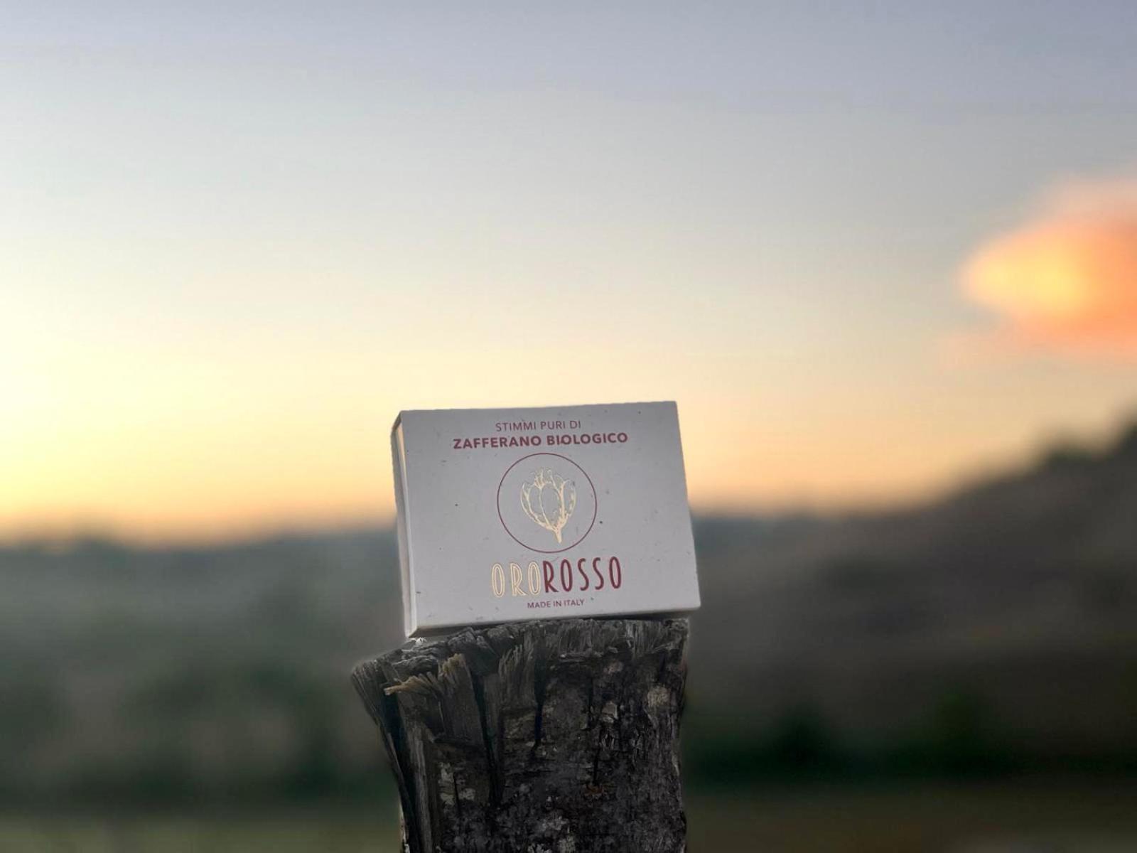 Agriturismo La Terrazza Sul Mangia Siena Dış mekan fotoğraf
