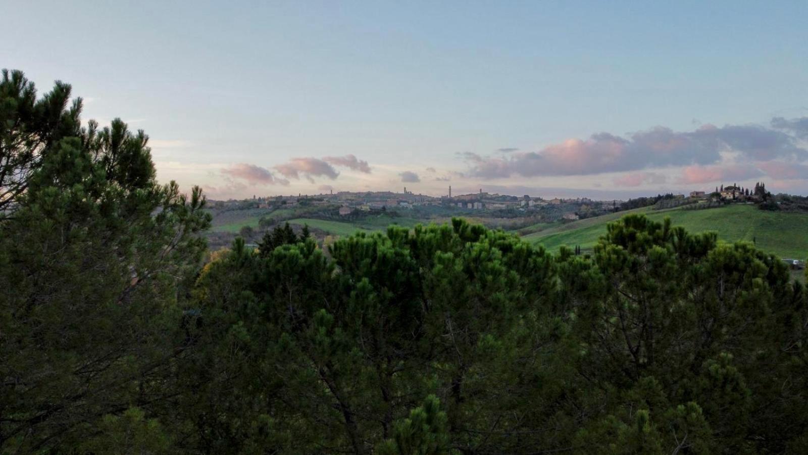 Agriturismo La Terrazza Sul Mangia Siena Dış mekan fotoğraf