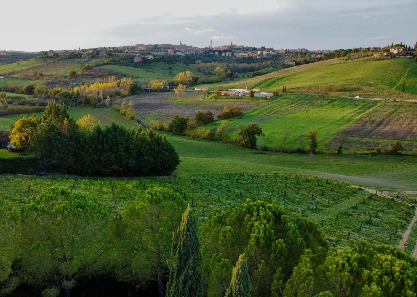 Agriturismo La Terrazza Sul Mangia Siena Dış mekan fotoğraf