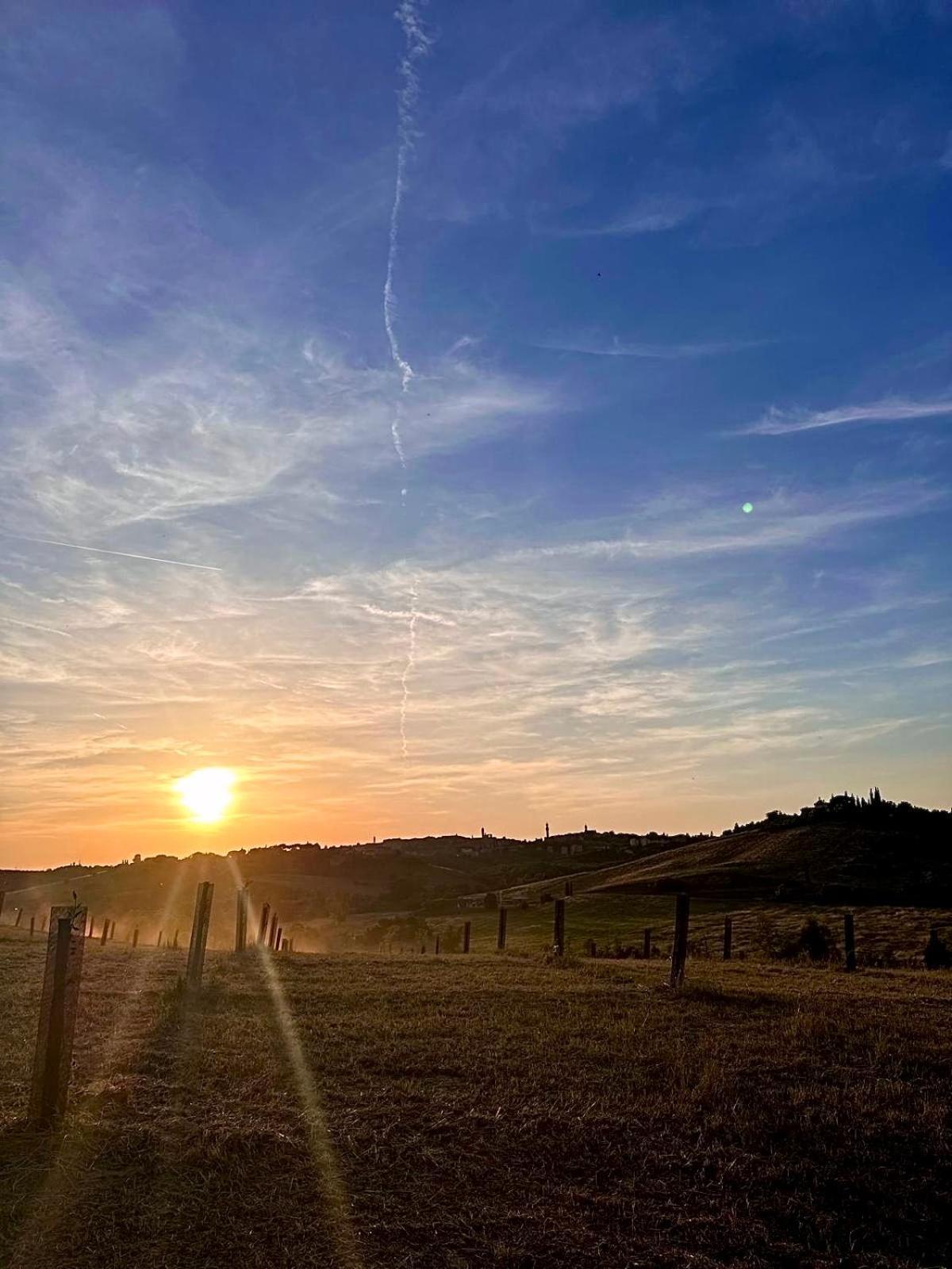 Agriturismo La Terrazza Sul Mangia Siena Dış mekan fotoğraf