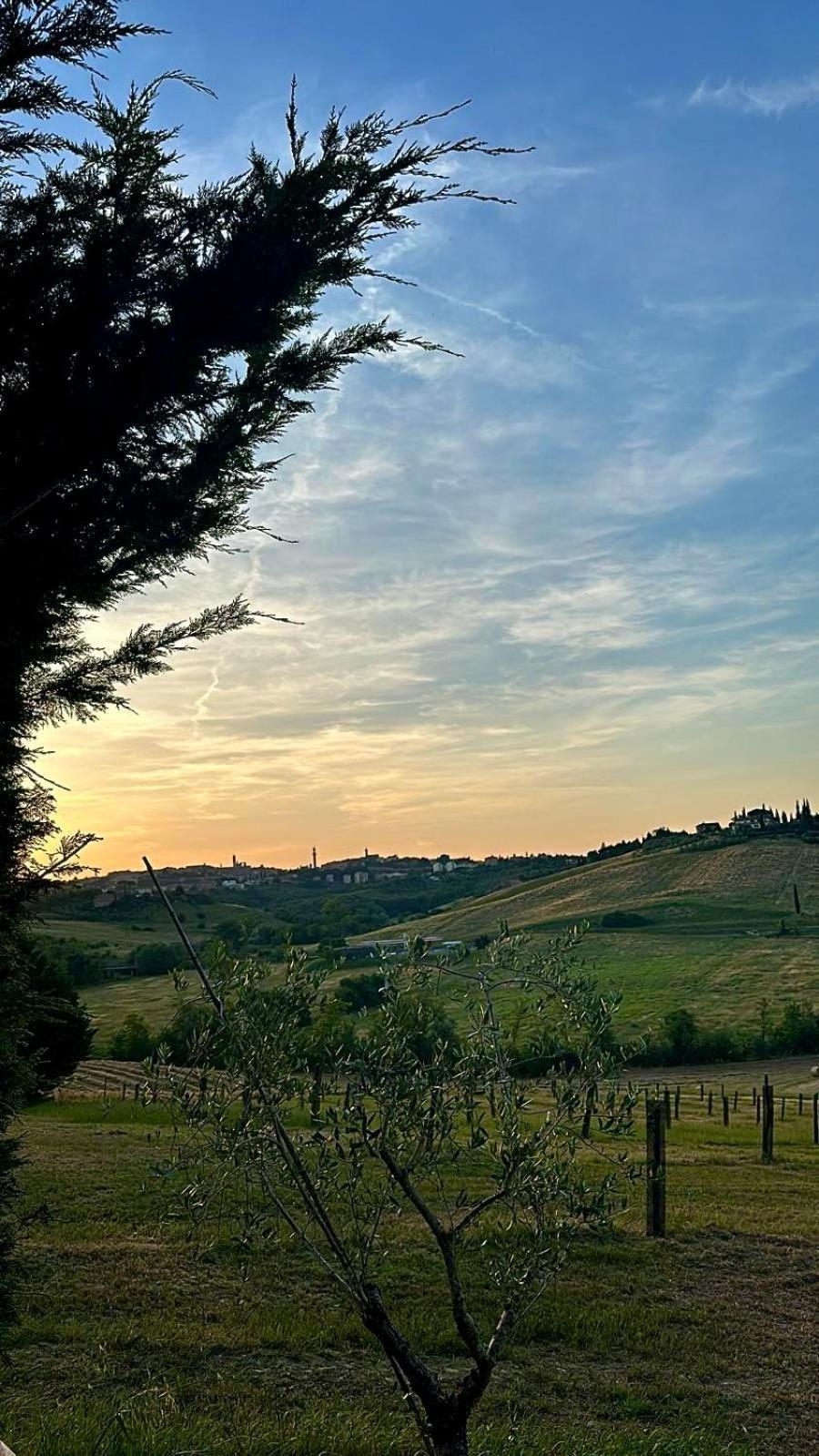 Agriturismo La Terrazza Sul Mangia Siena Dış mekan fotoğraf