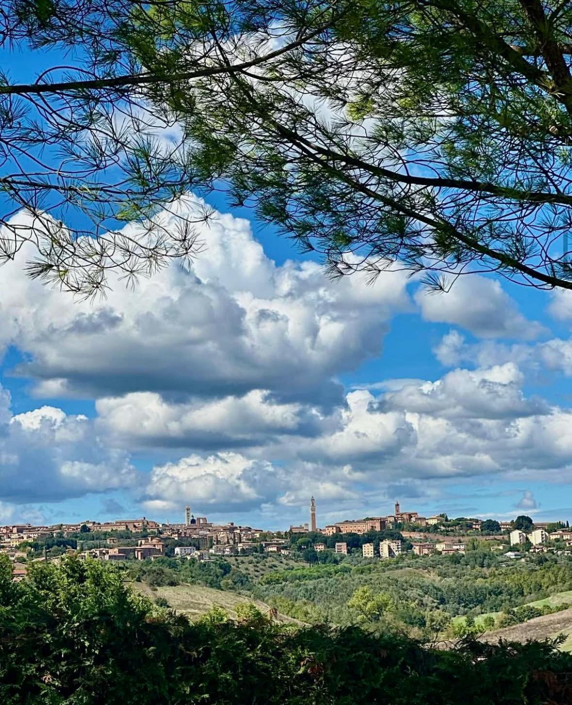 Agriturismo La Terrazza Sul Mangia Siena Dış mekan fotoğraf